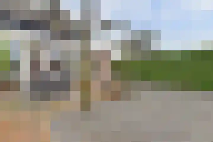 de Steeg 24 Angeren thumbnail 25