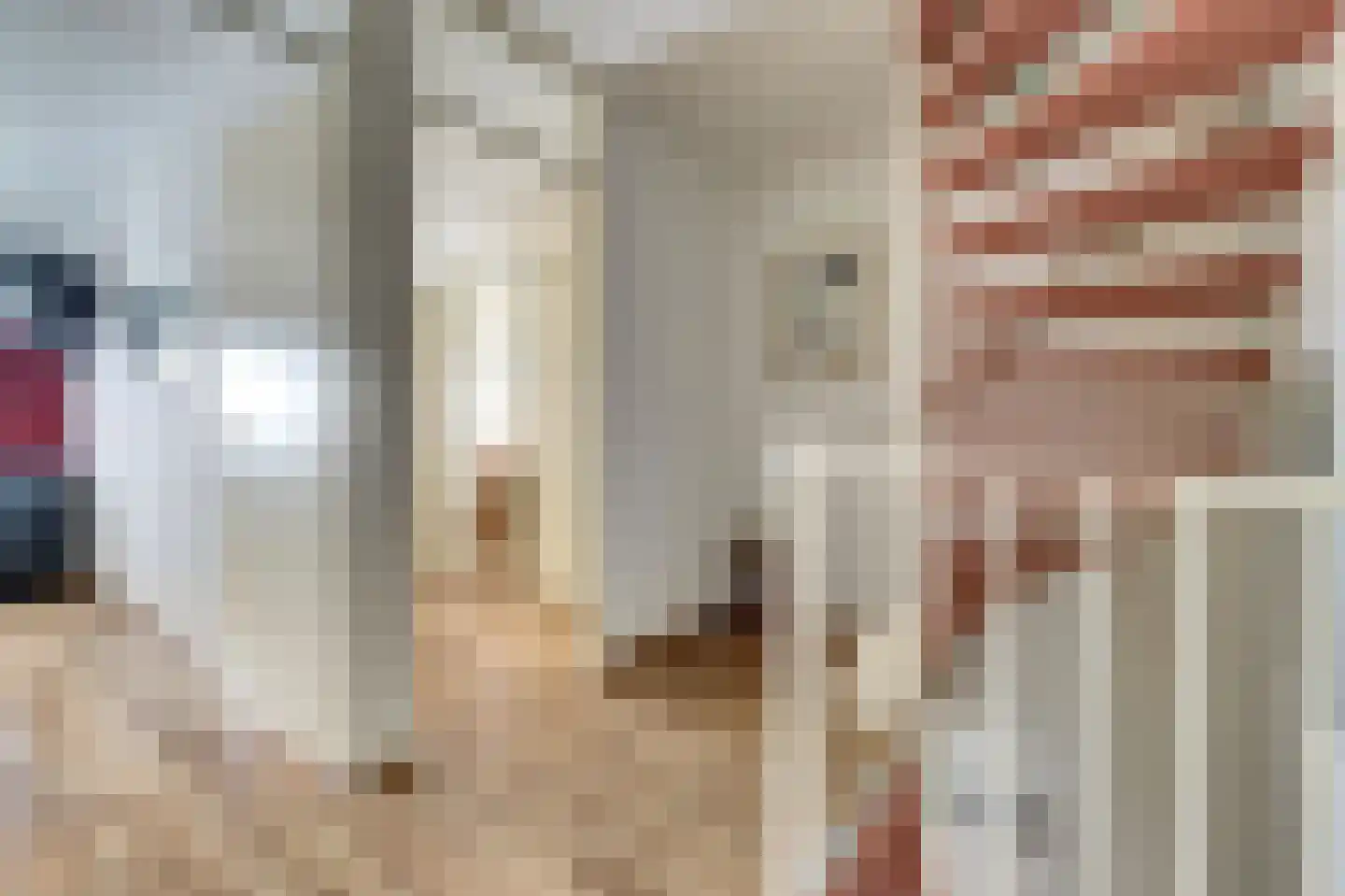 de Steeg 24 Angeren thumbnail 27
