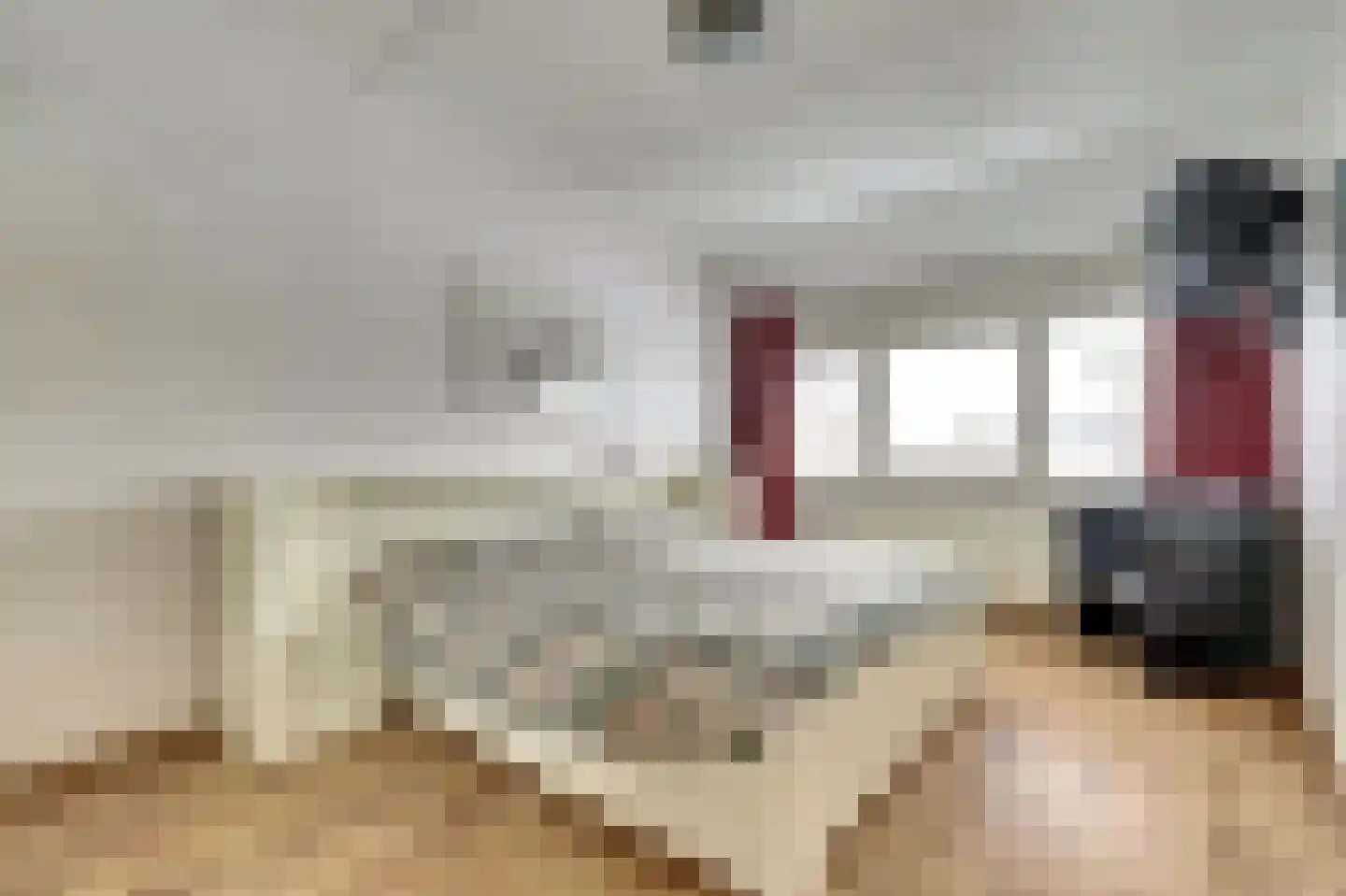 de Steeg 24 Angeren thumbnail 28