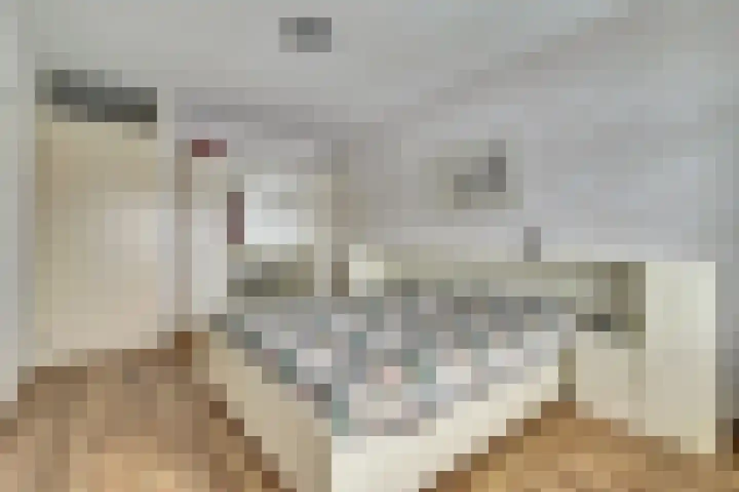 de Steeg 24 Angeren thumbnail 29