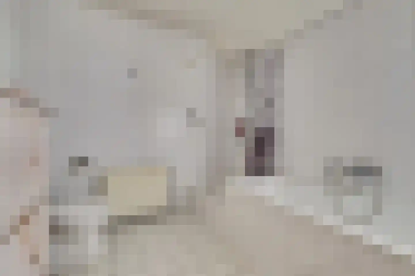 de Steeg 24 Angeren thumbnail 36