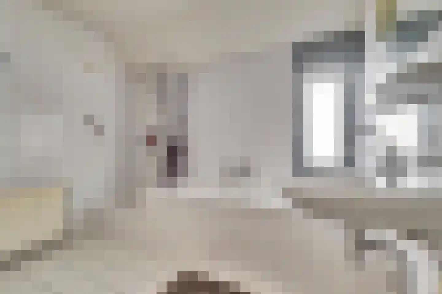 de Steeg 24 Angeren thumbnail 37
