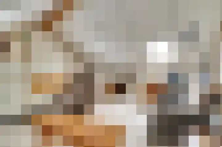 de Steeg 24 Angeren thumbnail 38