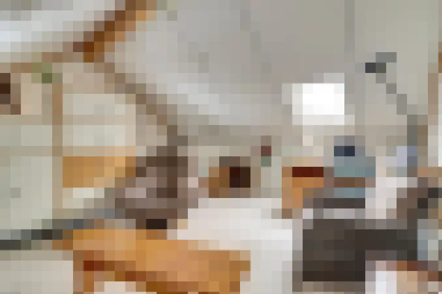 de Steeg 24 Angeren thumbnail 38
