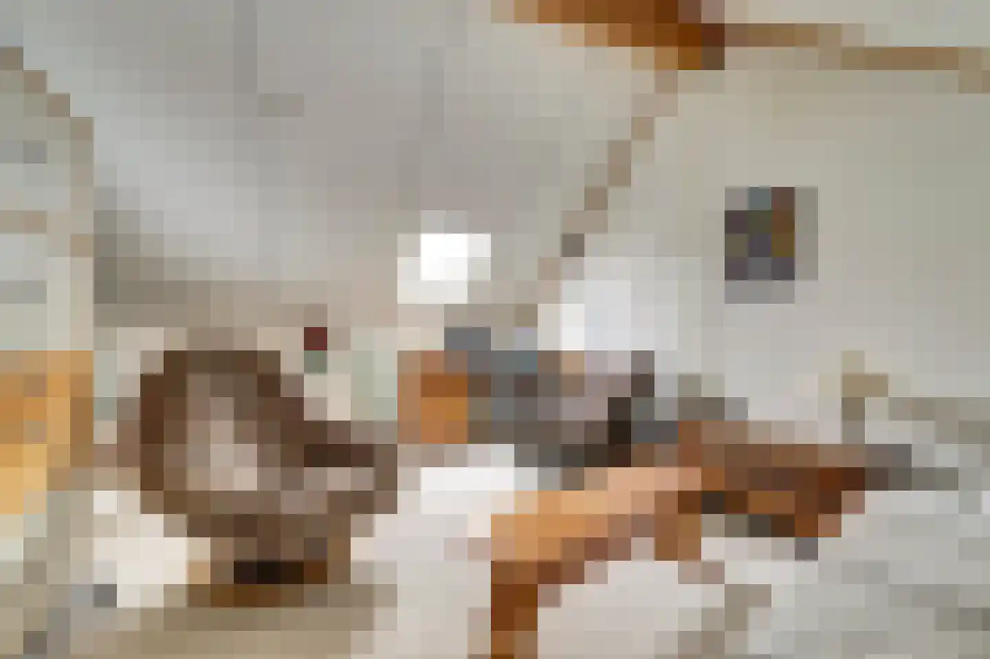de Steeg 24 Angeren thumbnail 39