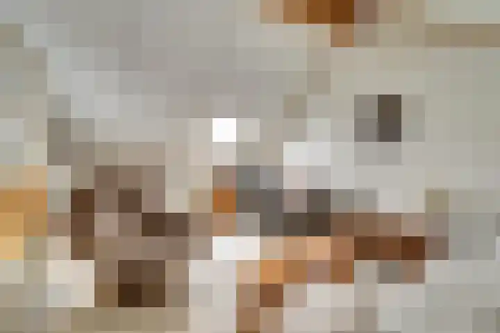 de Steeg 24 Angeren thumbnail 39