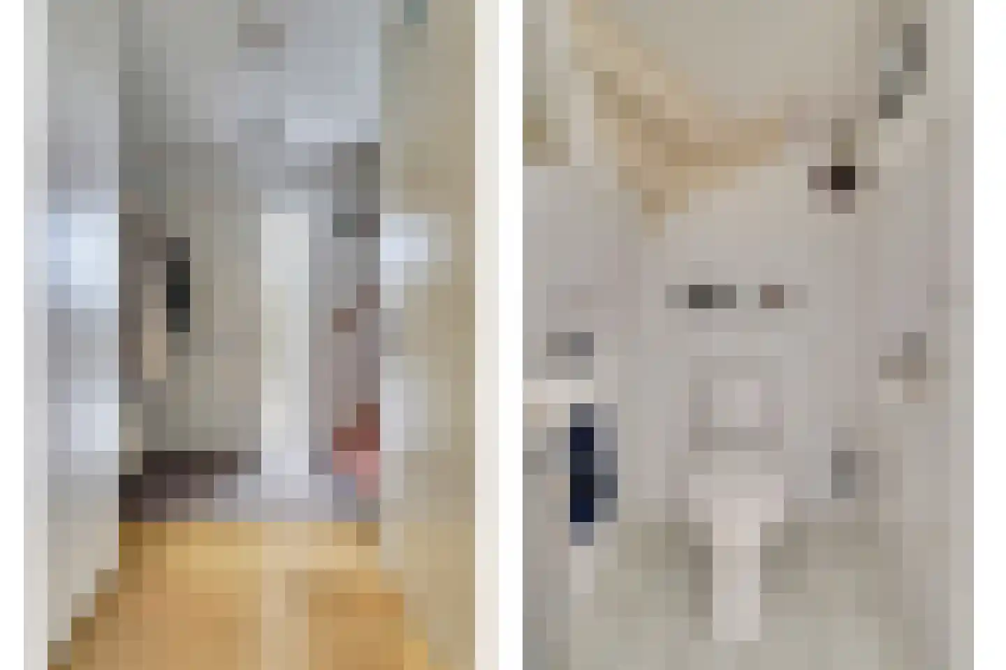 de Steeg 24 Angeren thumbnail 4