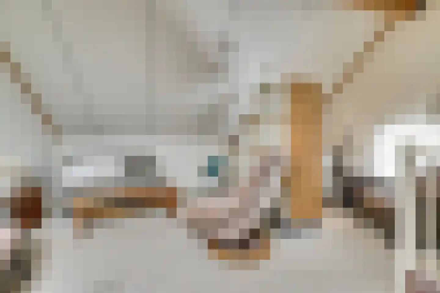 de Steeg 24 Angeren thumbnail 40