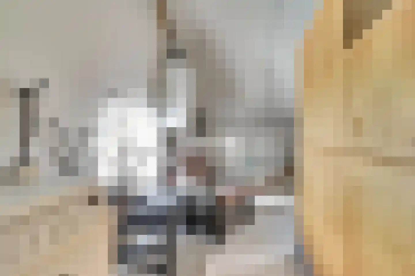 de Steeg 24 Angeren thumbnail 41