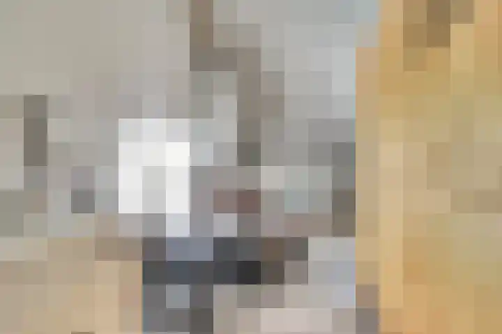 de Steeg 24 Angeren thumbnail 41