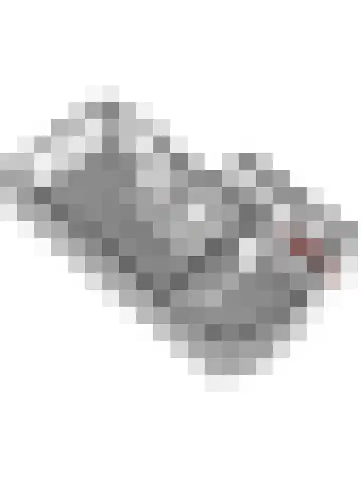 de Steeg 24 Angeren thumbnail 46