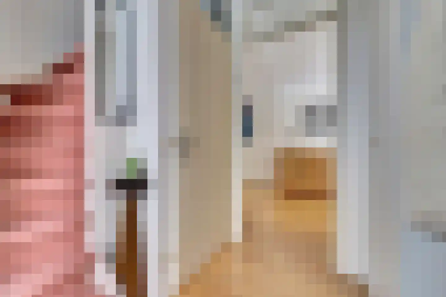 de Steeg 24 Angeren thumbnail 5