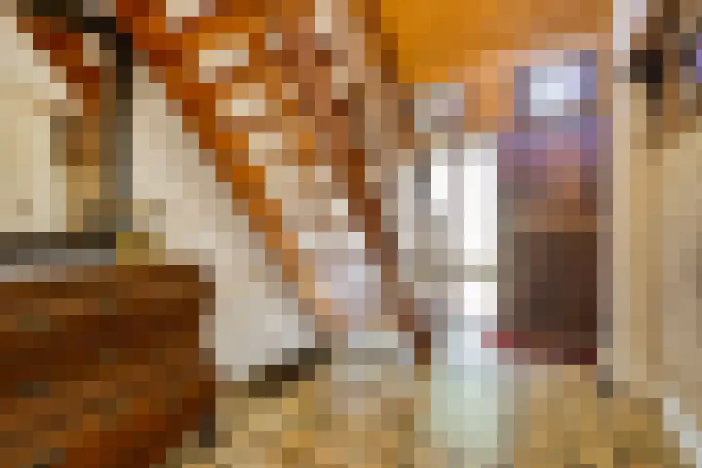 de Steeg 3 Dalen thumbnail 12