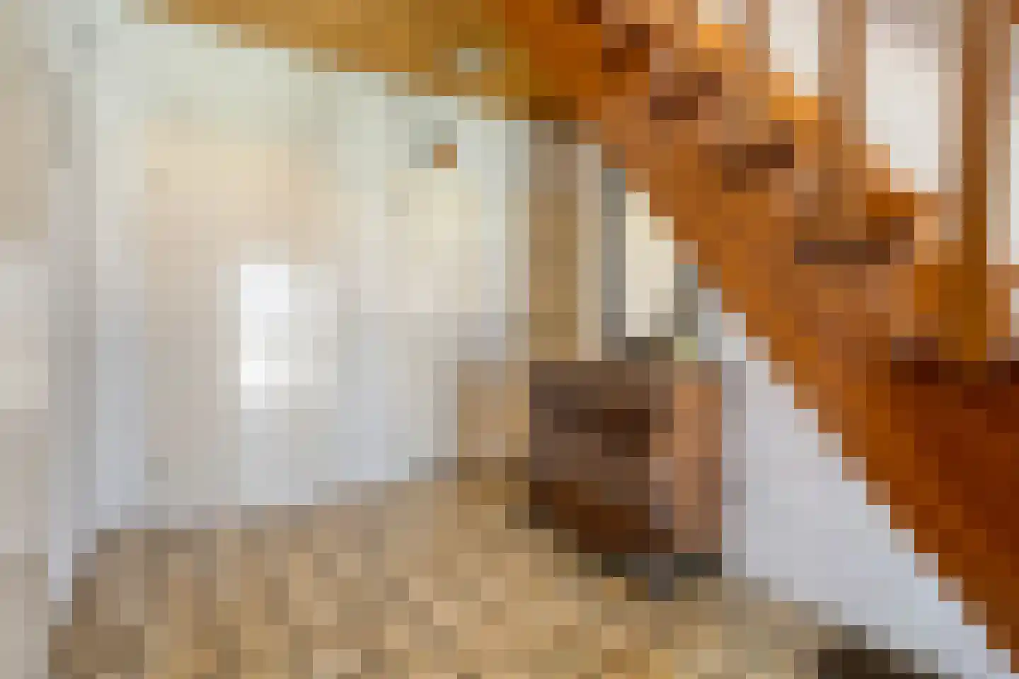 de Steeg 3 Dalen thumbnail 13