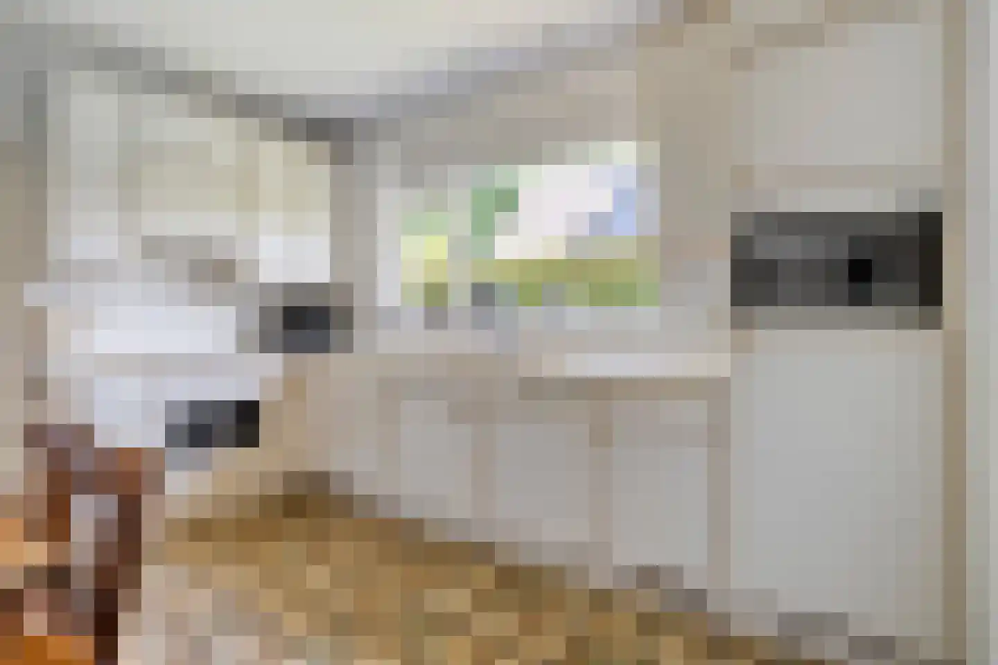de Steeg 3 Dalen thumbnail 22