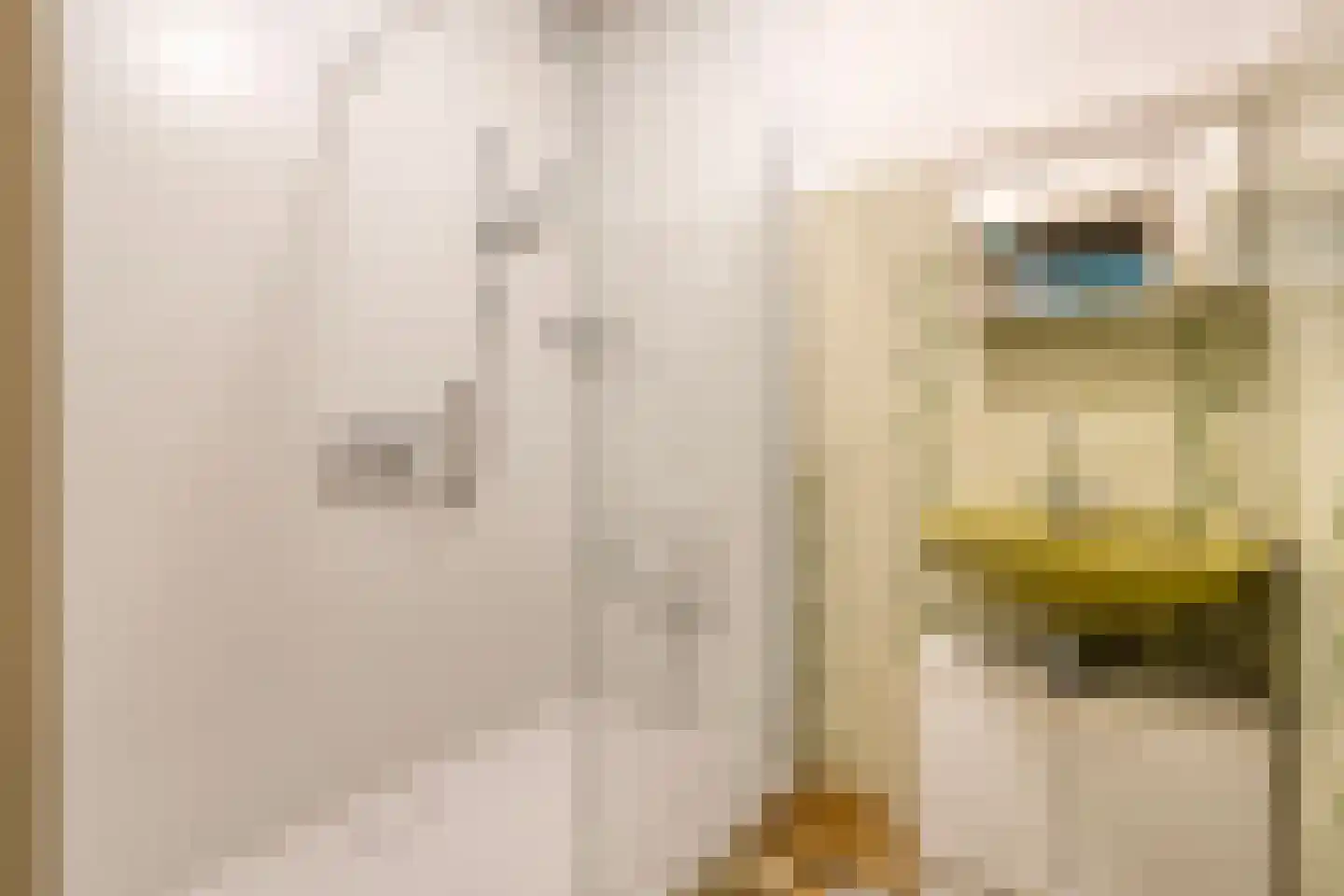 de Steeg 3 Dalen thumbnail 24