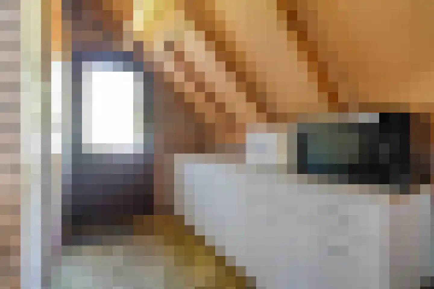 de Steeg 3 Dalen thumbnail 30