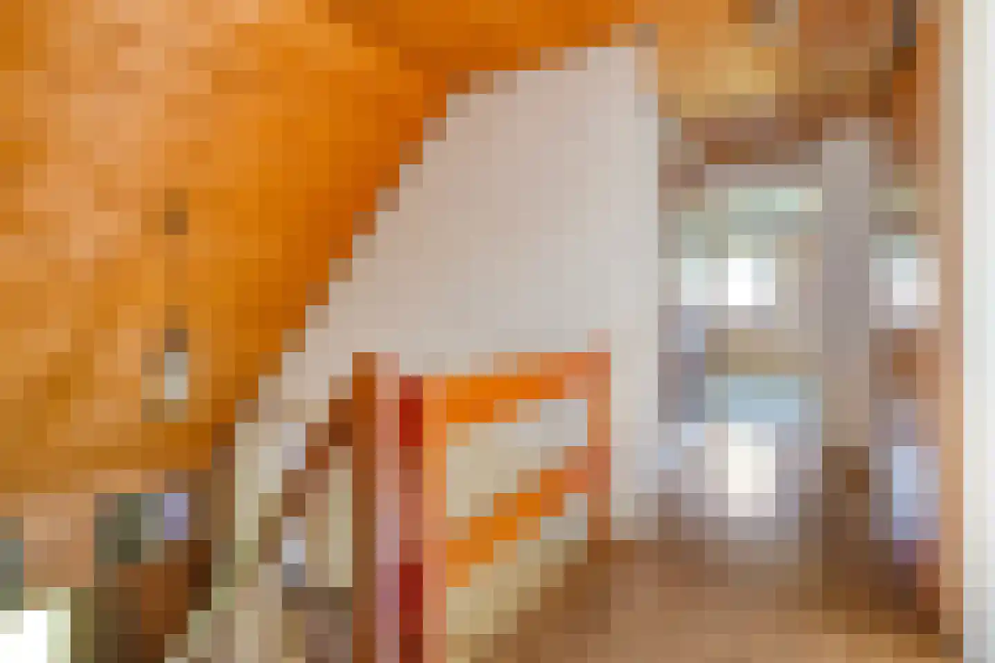 de Steeg 3 Dalen thumbnail 31