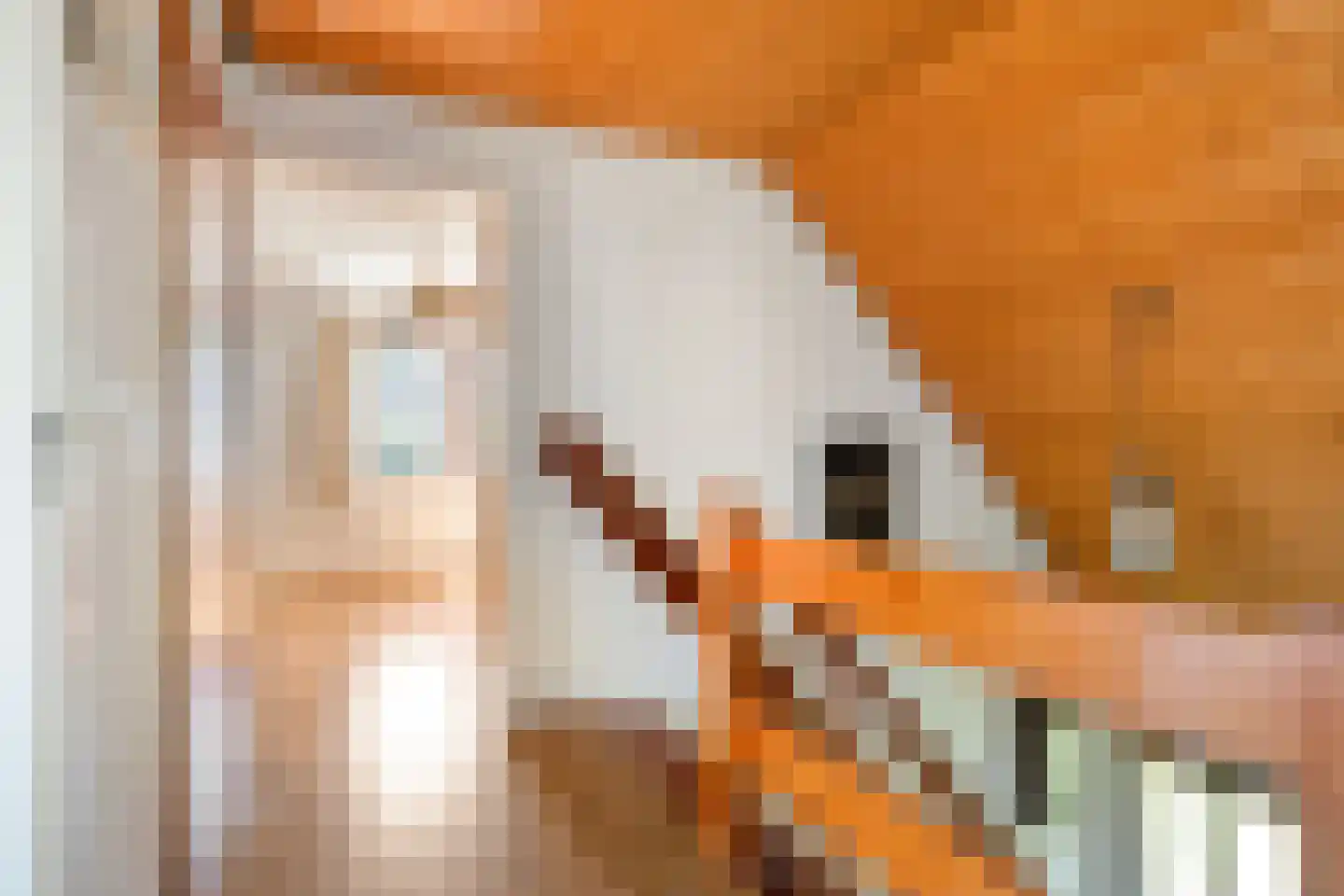de Steeg 3 Dalen thumbnail 32