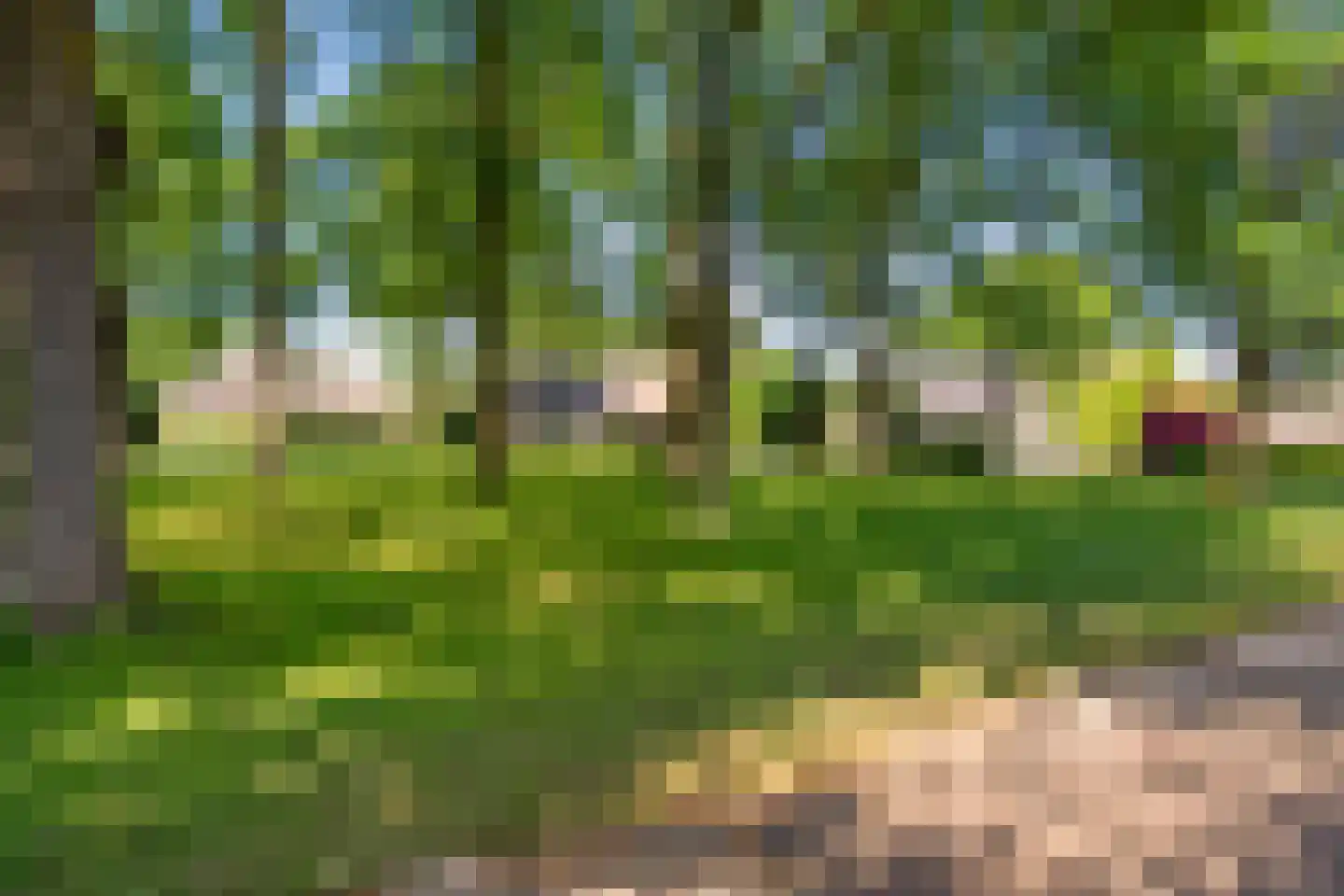 de Steeg 3 Dalen thumbnail 4