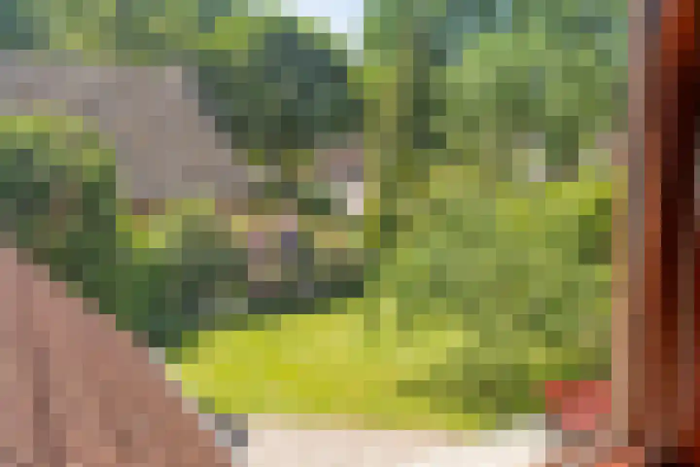 de Steeg 3 Dalen thumbnail 41