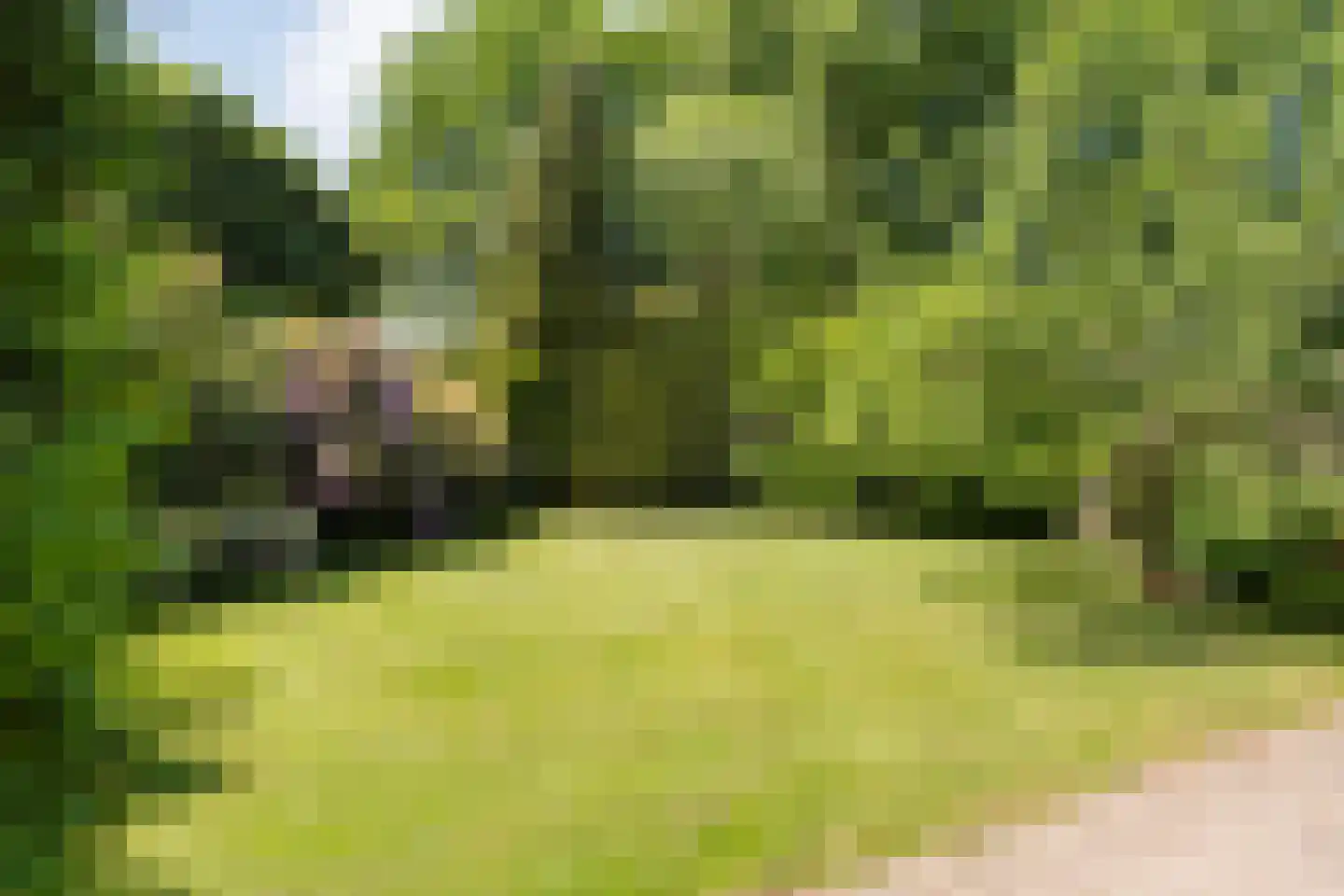 de Steeg 3 Dalen thumbnail 43