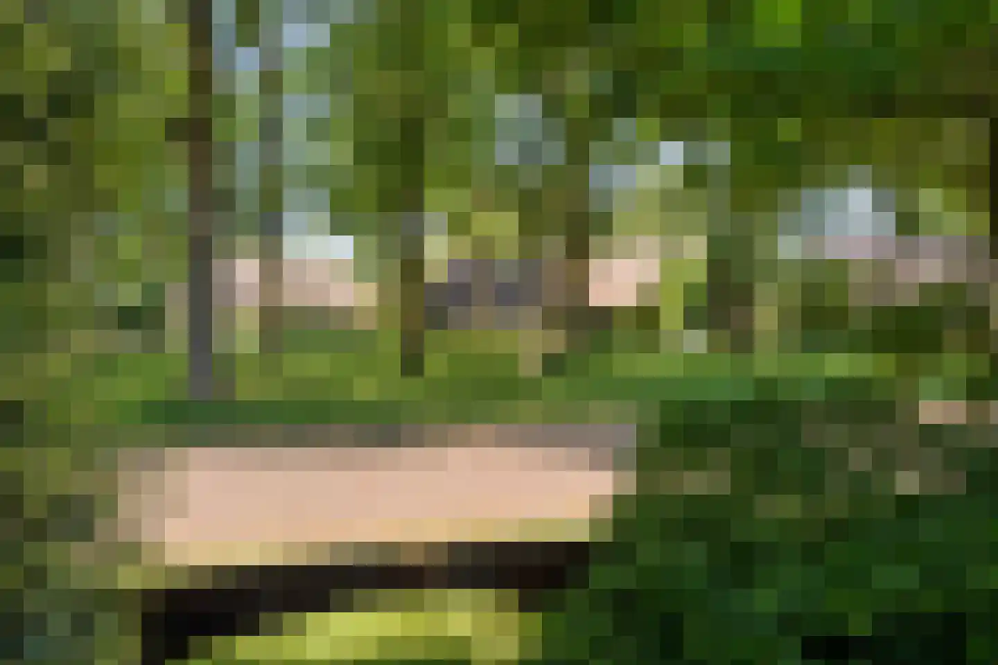 de Steeg 3 Dalen thumbnail 44