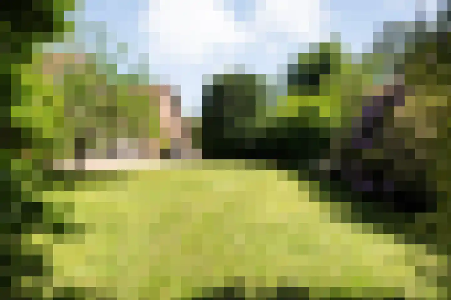 de Steeg 3 Dalen thumbnail 45