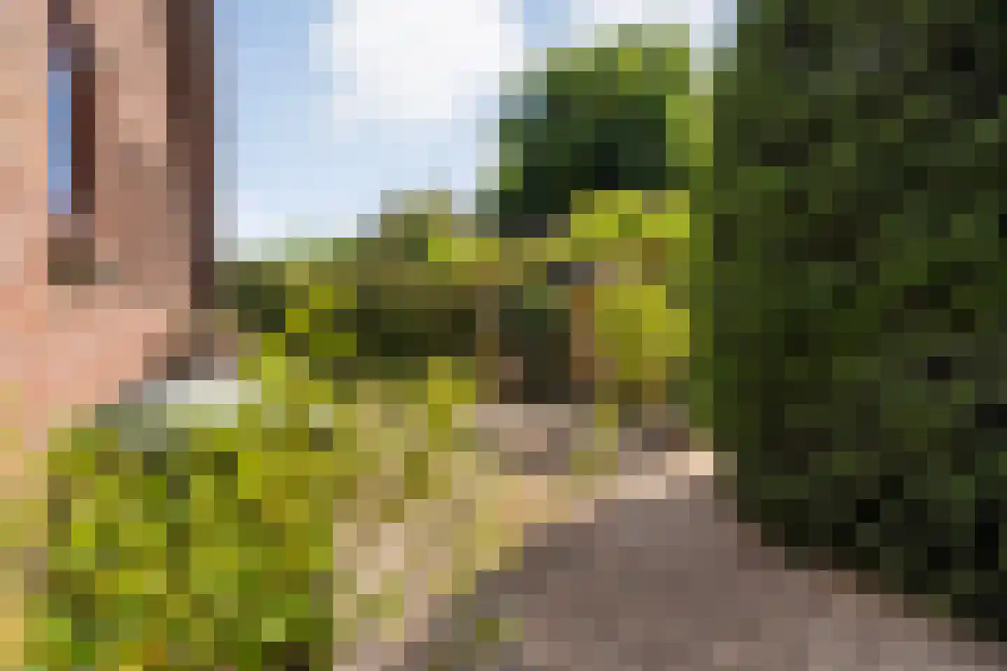de Steeg 3 Dalen thumbnail 46