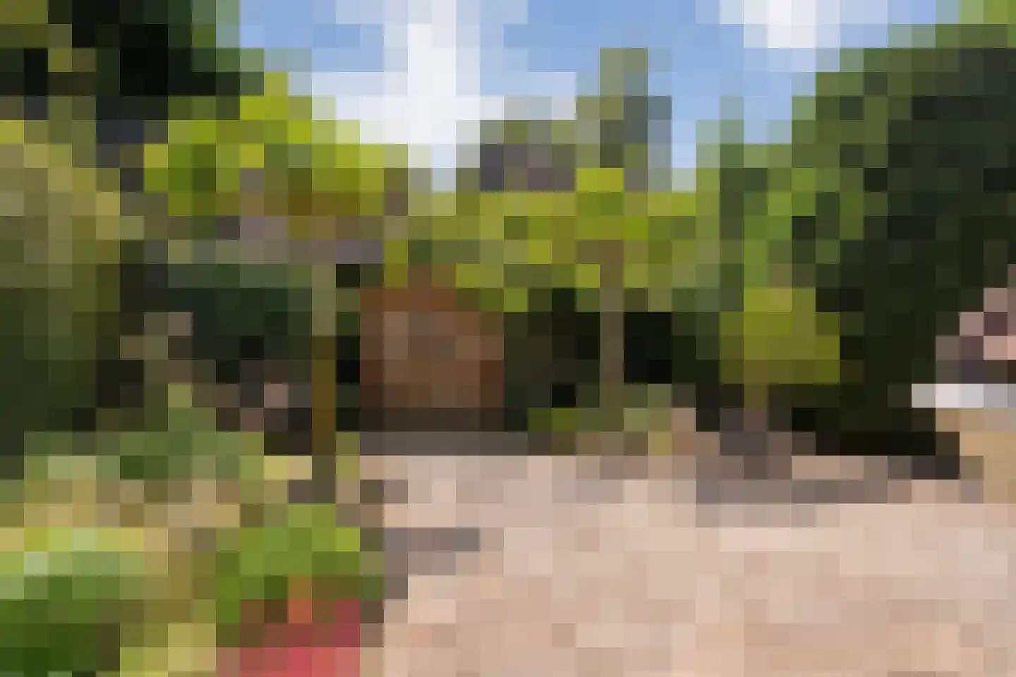 de Steeg 3 Dalen thumbnail 47