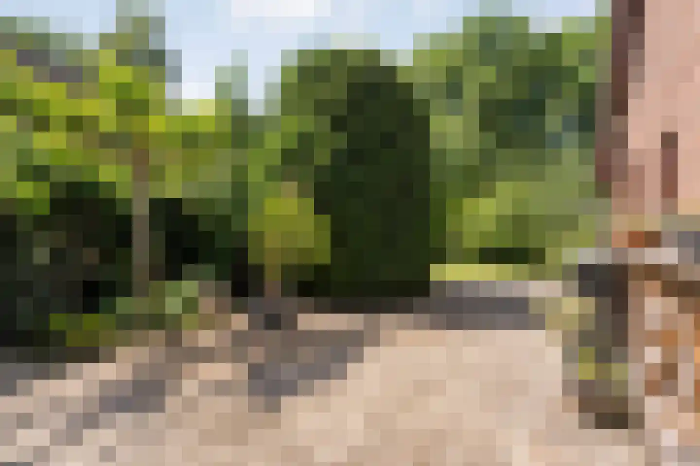 de Steeg 3 Dalen thumbnail 48