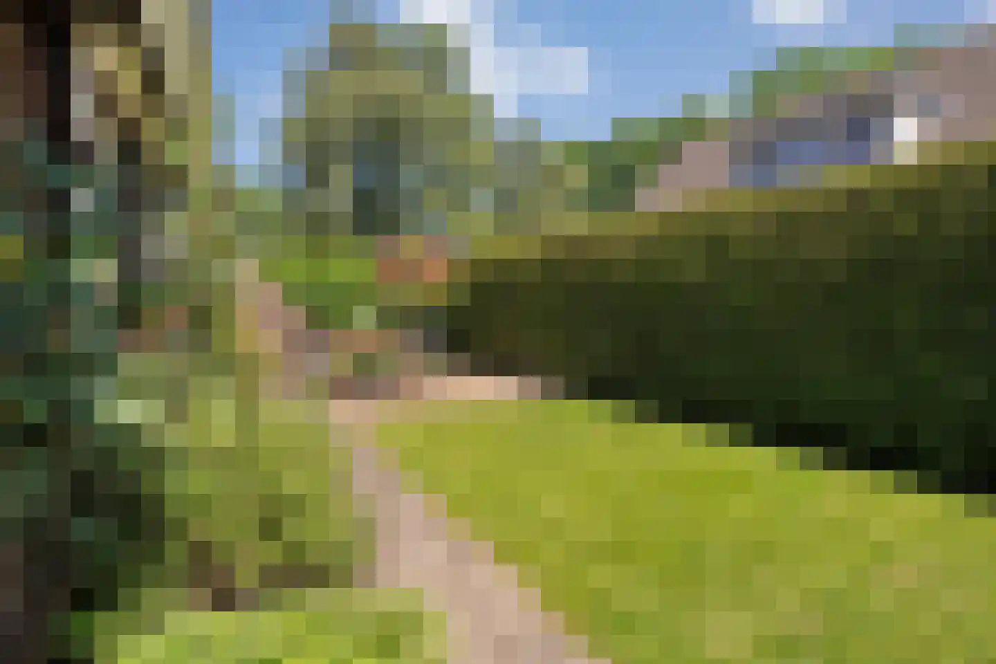 de Steeg 3 Dalen thumbnail 50