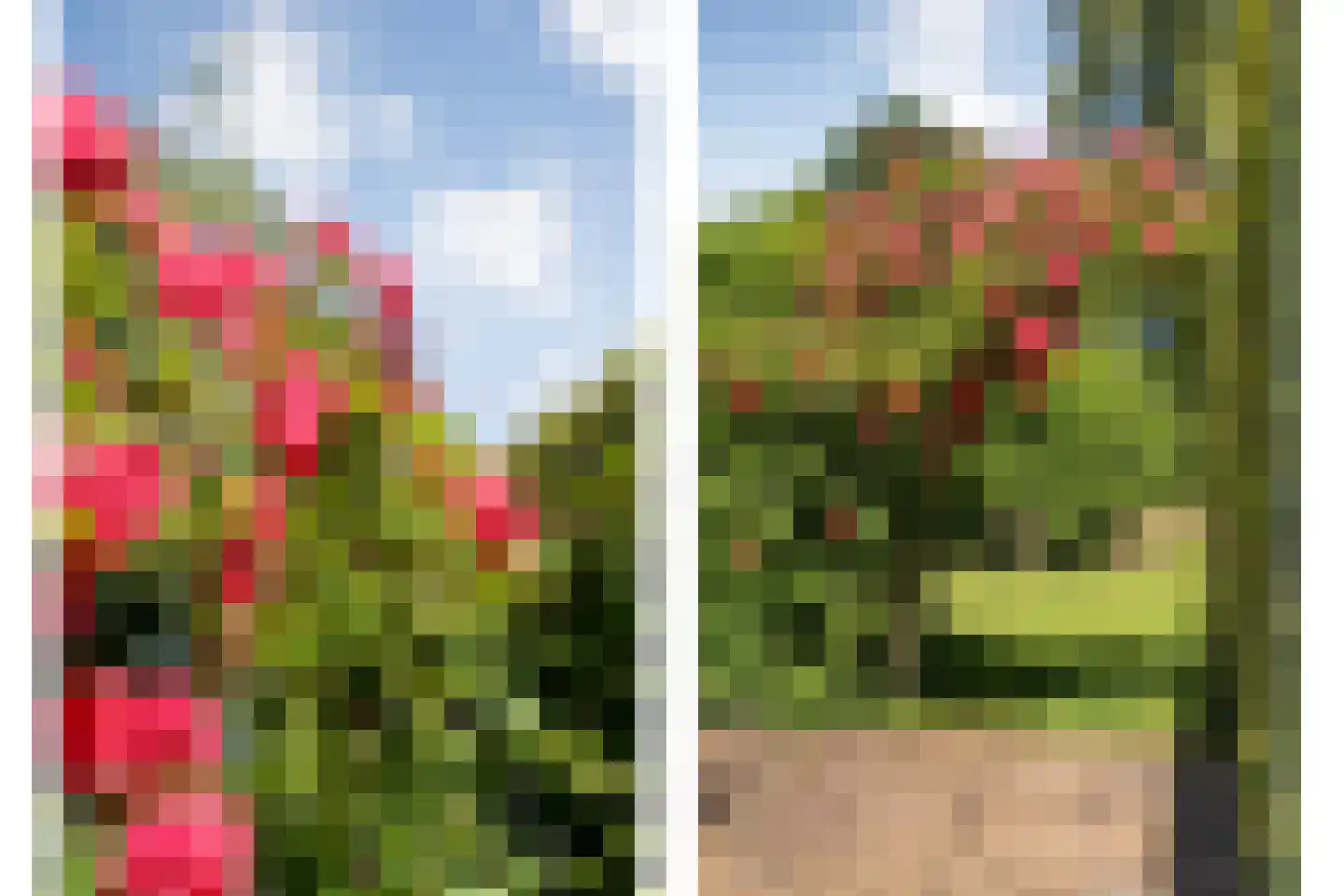 de Steeg 3 Dalen thumbnail 53