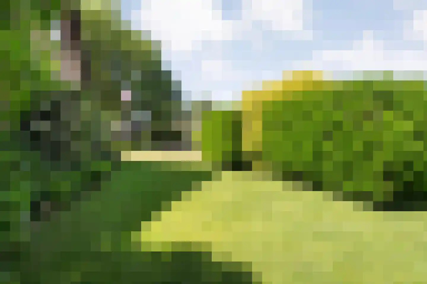 de Steeg 3 Dalen thumbnail 54
