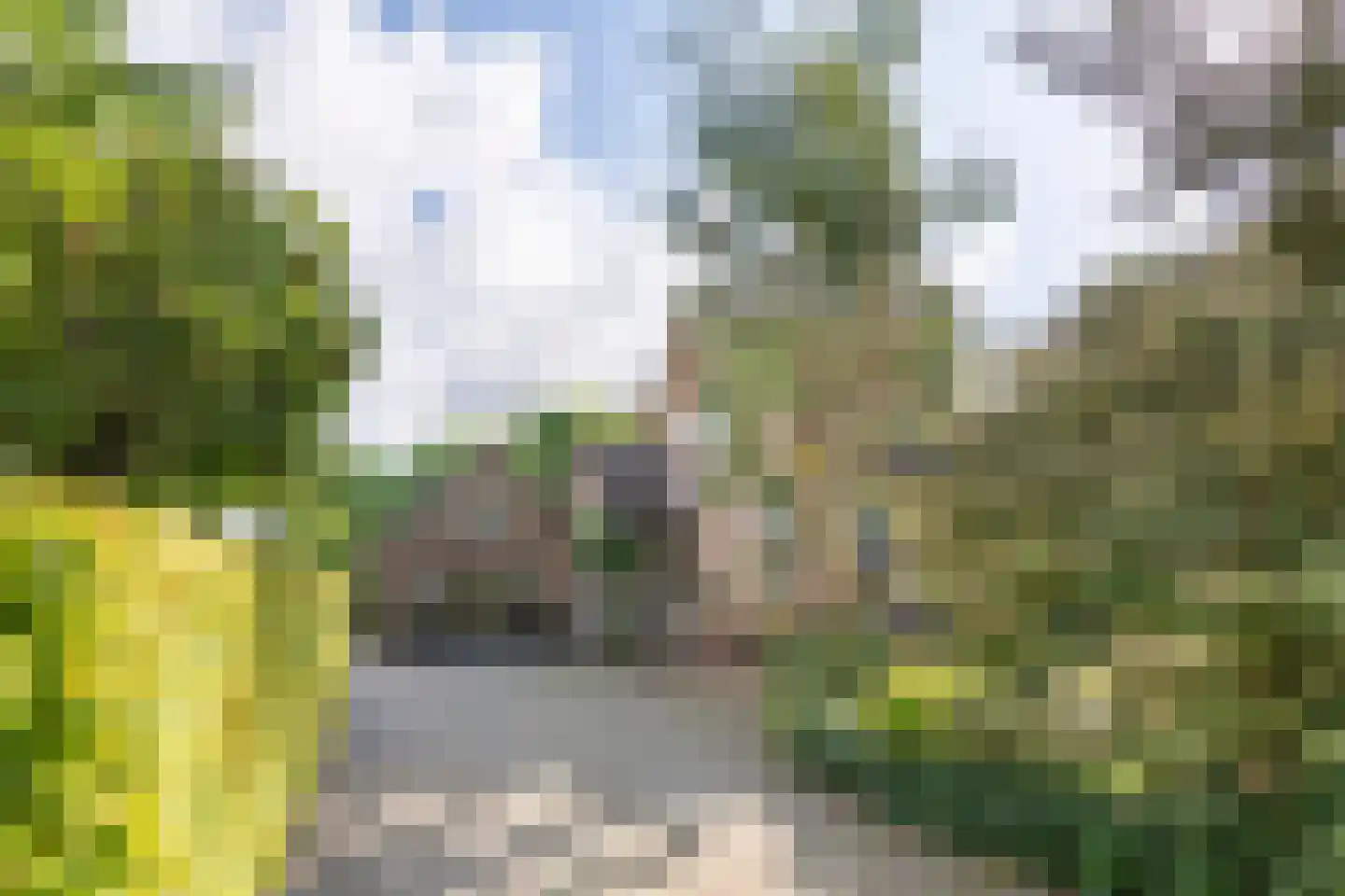 De Steeg 3 Ingen thumbnail 10