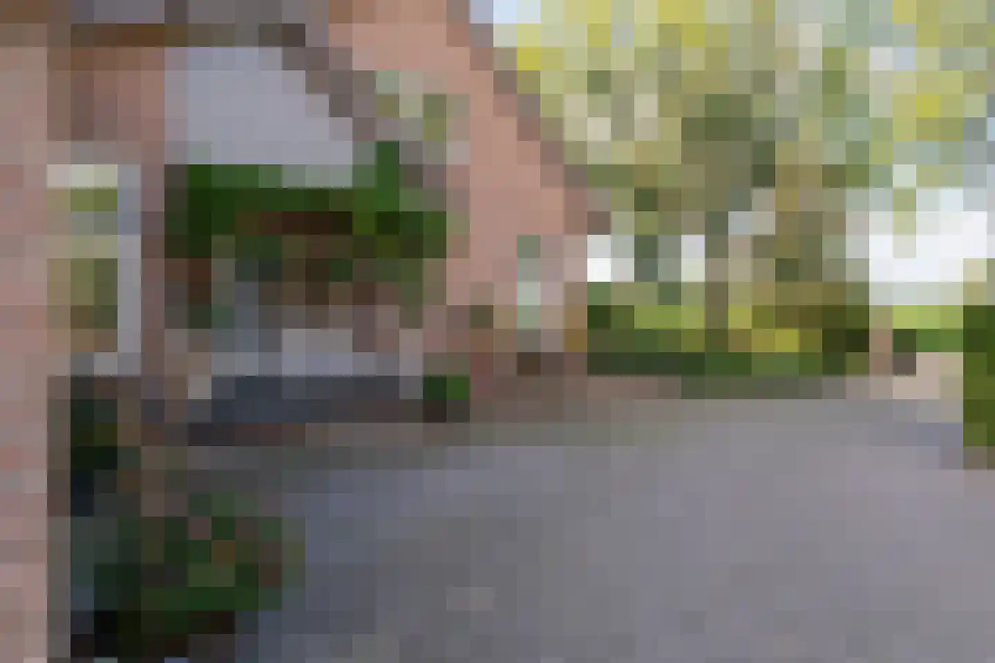 De Steeg 3 Ingen thumbnail 11