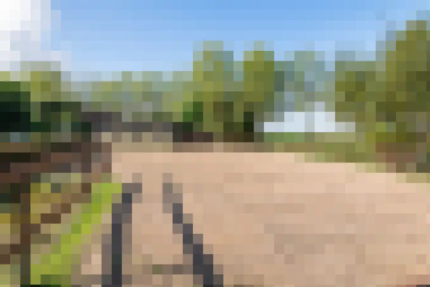 De Steeg 3 Ingen thumbnail 23
