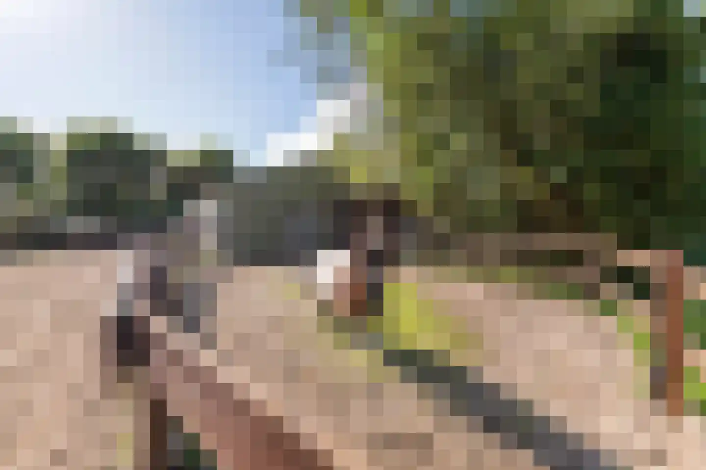 De Steeg 3 Ingen thumbnail 24