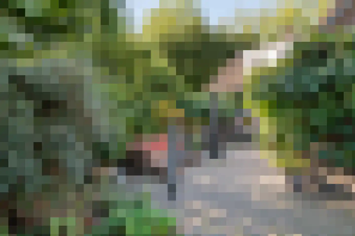 De Steeg 3 Ingen thumbnail 33