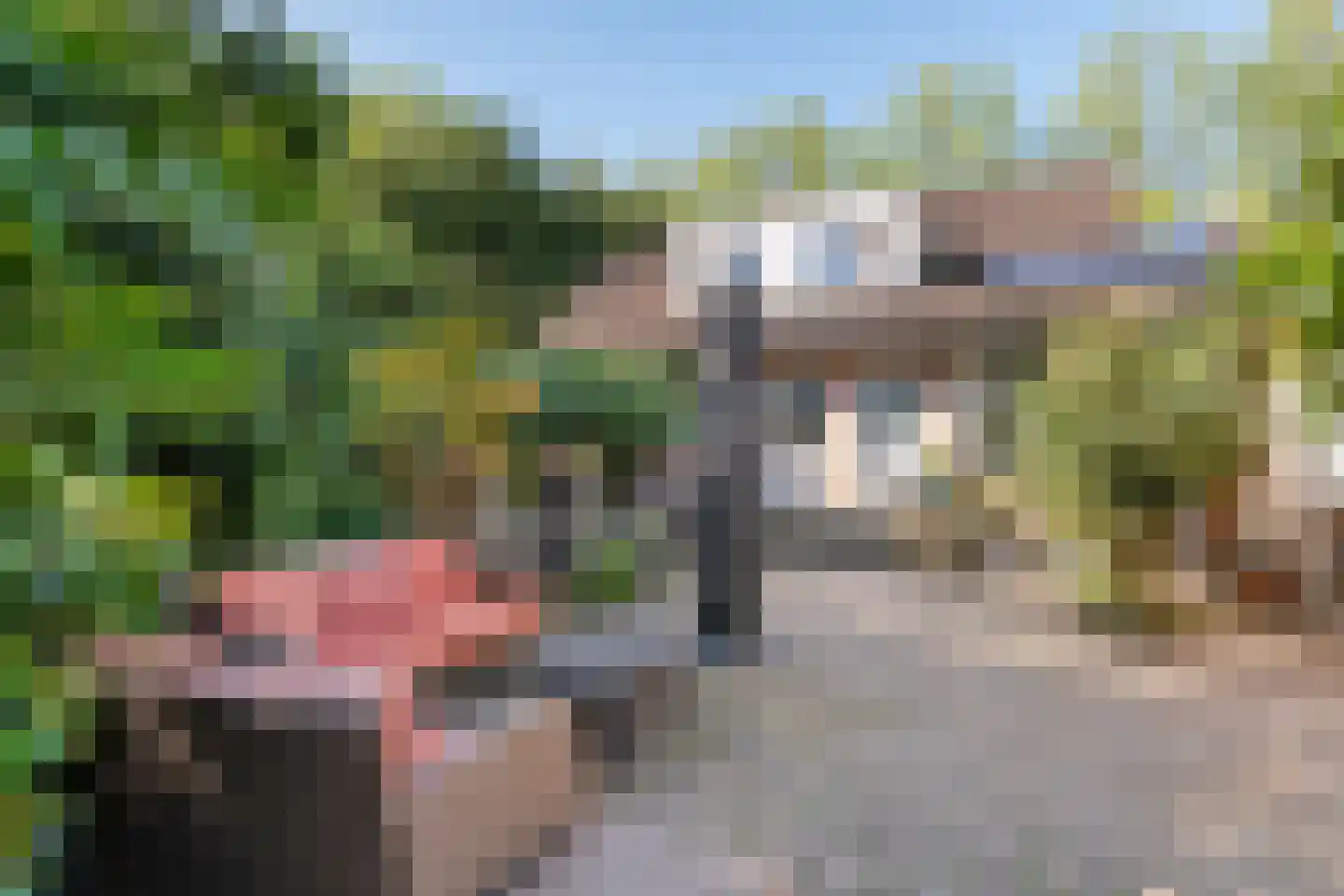 De Steeg 3 Ingen thumbnail 34
