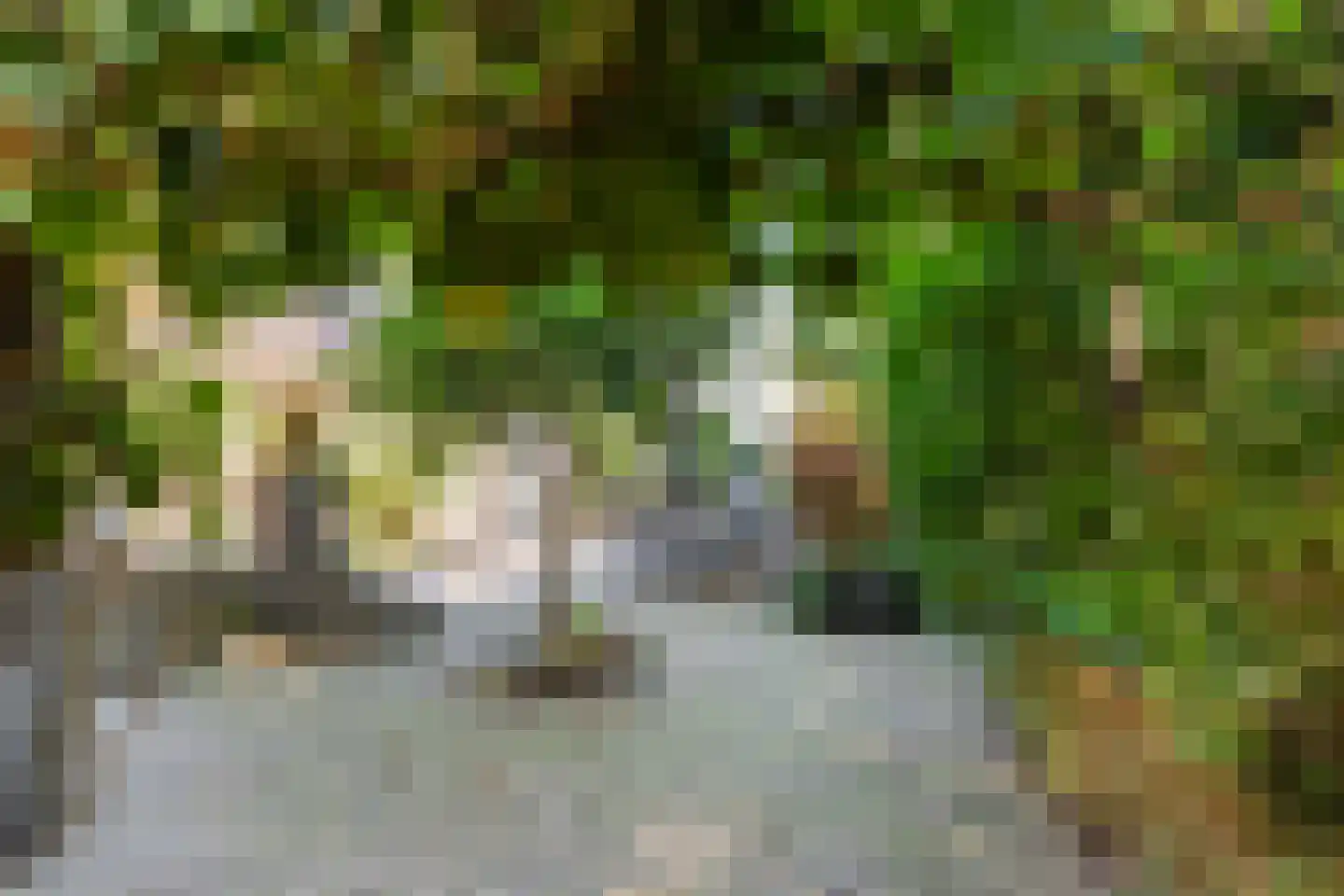 De Steeg 3 Ingen thumbnail 36