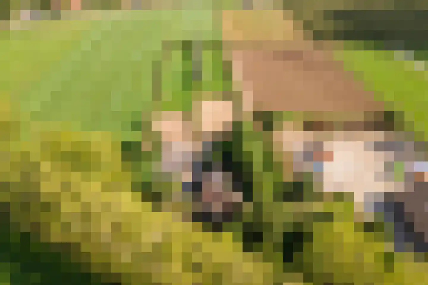 De Steeg 3 Ingen thumbnail 4