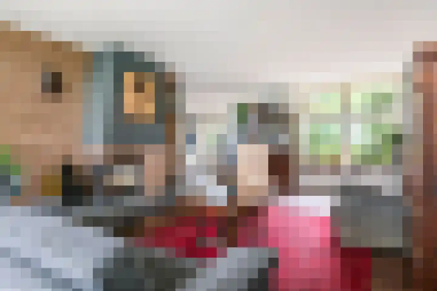 De Steeg 3 Ingen thumbnail 40