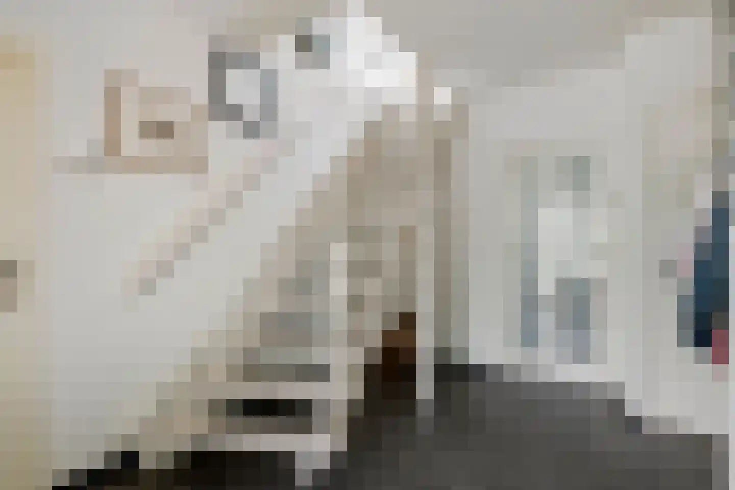 De Steeg 3 Ingen thumbnail 54