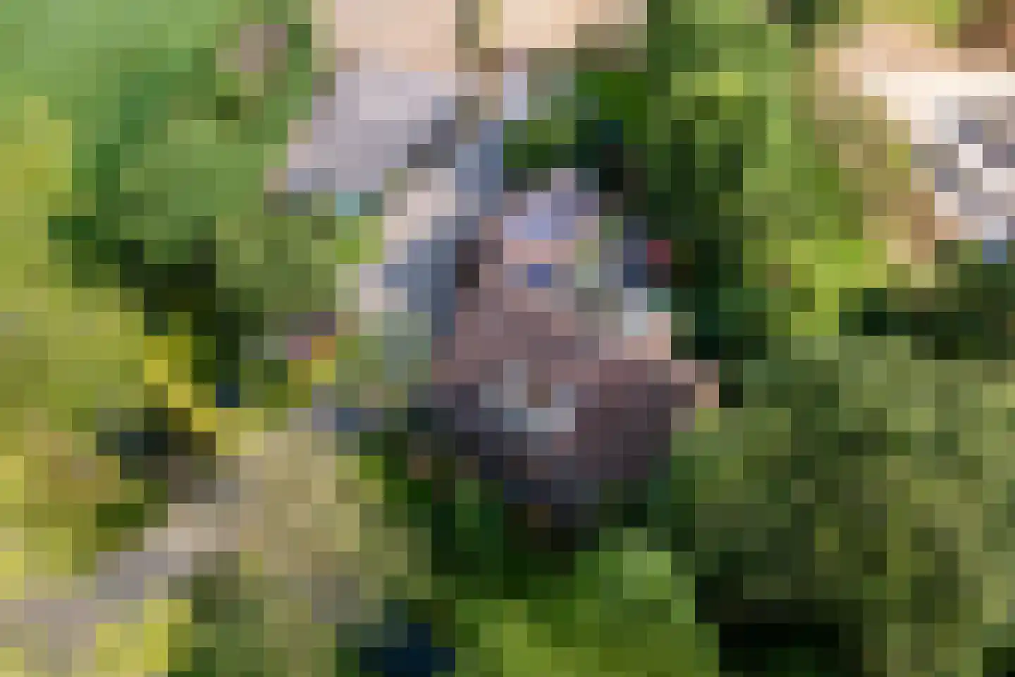 De Steeg 3 Ingen thumbnail 77