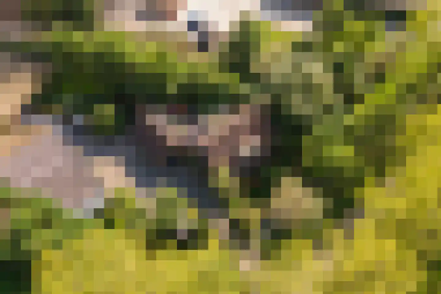 De Steeg 3 Ingen thumbnail 78