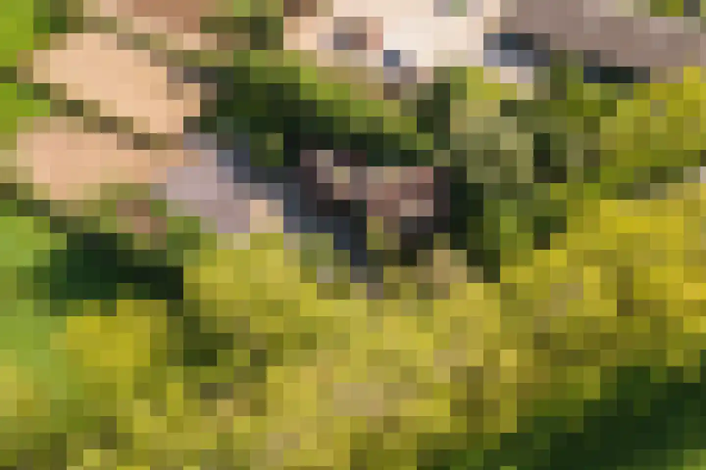 De Steeg 3 Ingen thumbnail 79