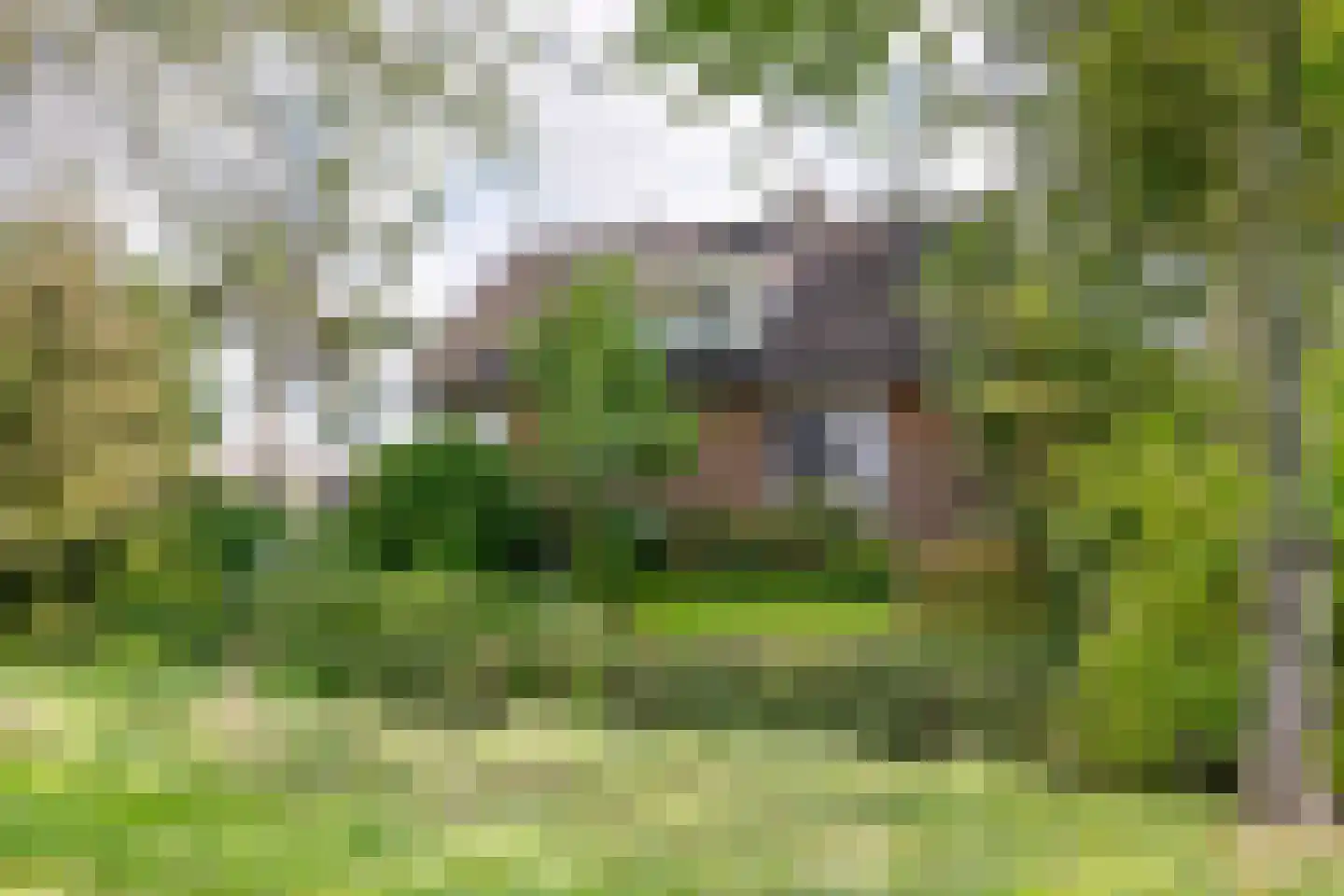 De Steeg 3 Ingen thumbnail 8