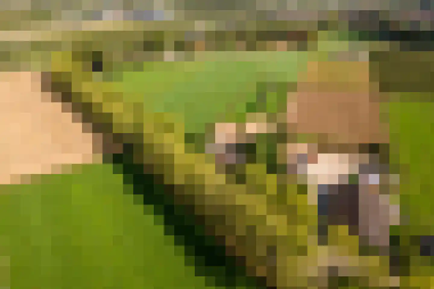 De Steeg 3 Ingen thumbnail 80
