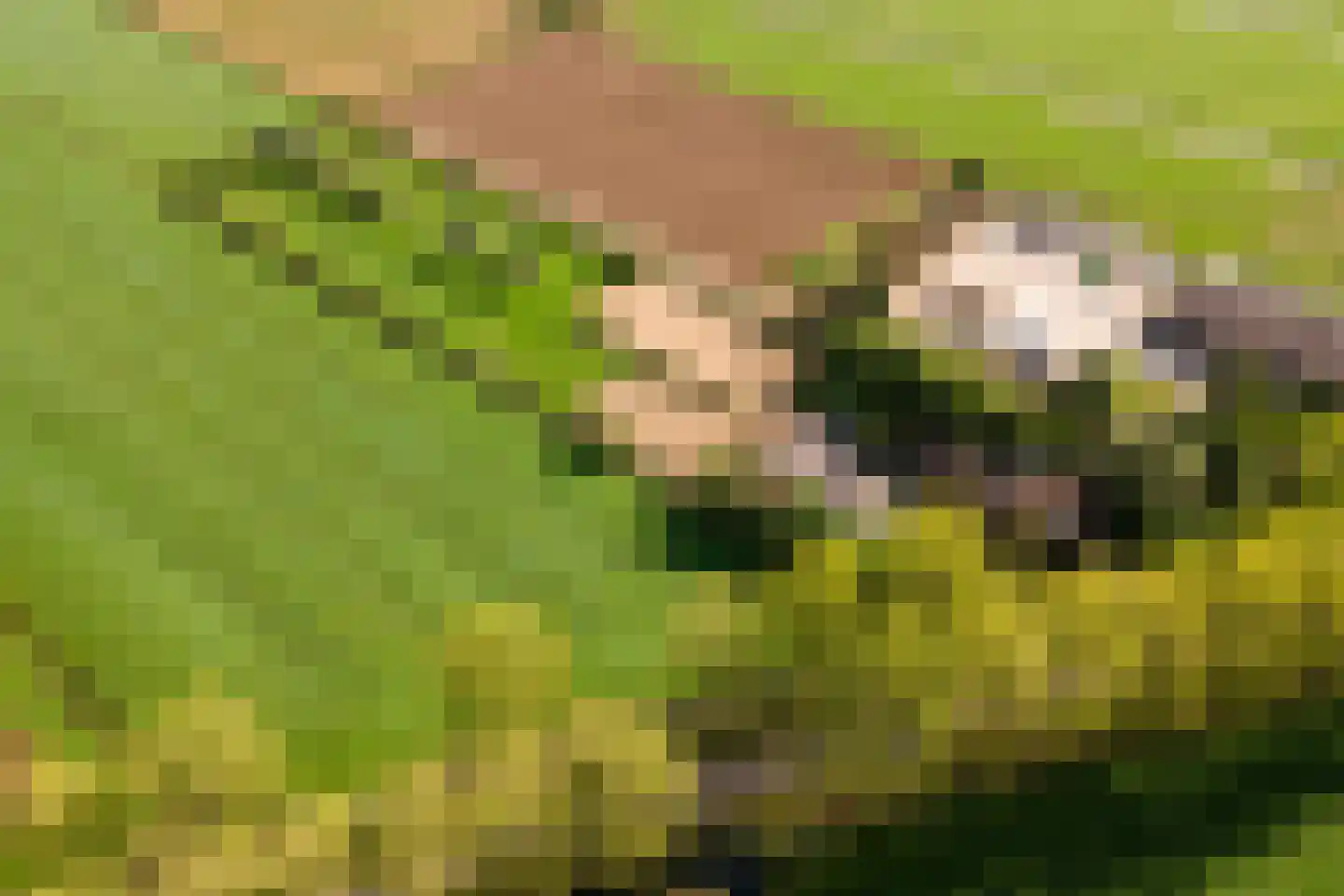 De Steeg 3 Ingen thumbnail 81